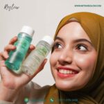 Simak! Bagaimana Cara Bisnis Reseller Online Terbaik