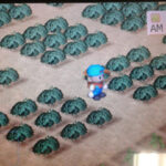 Terungkap Cara Cepat Kaya Di Harvest Moon Back To Nature Wajib Kamu Ketahui