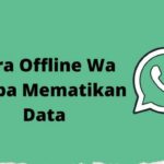 Terbongkar! Cara Offline Whatsapp Tanpa Mematikan Data Iphone Wajib Kamu Ketahui