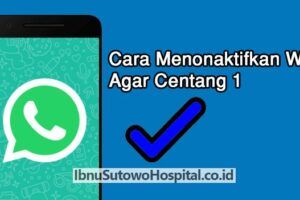 Penting! Cara Agar Whatsapp Centang Satu Tanpa Mematikan Data Terpecaya