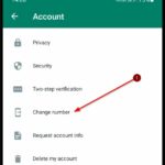 Terbongkar! Cara Ubah Whatsapp Biasa Ke Bisnis Terbaik