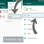 Simak! Cara Whatsapp Tidak Centang Biru Terbaik