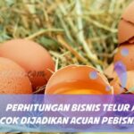 Hebat! Cara Bisnis Usaha Telur Ayam Terbaik