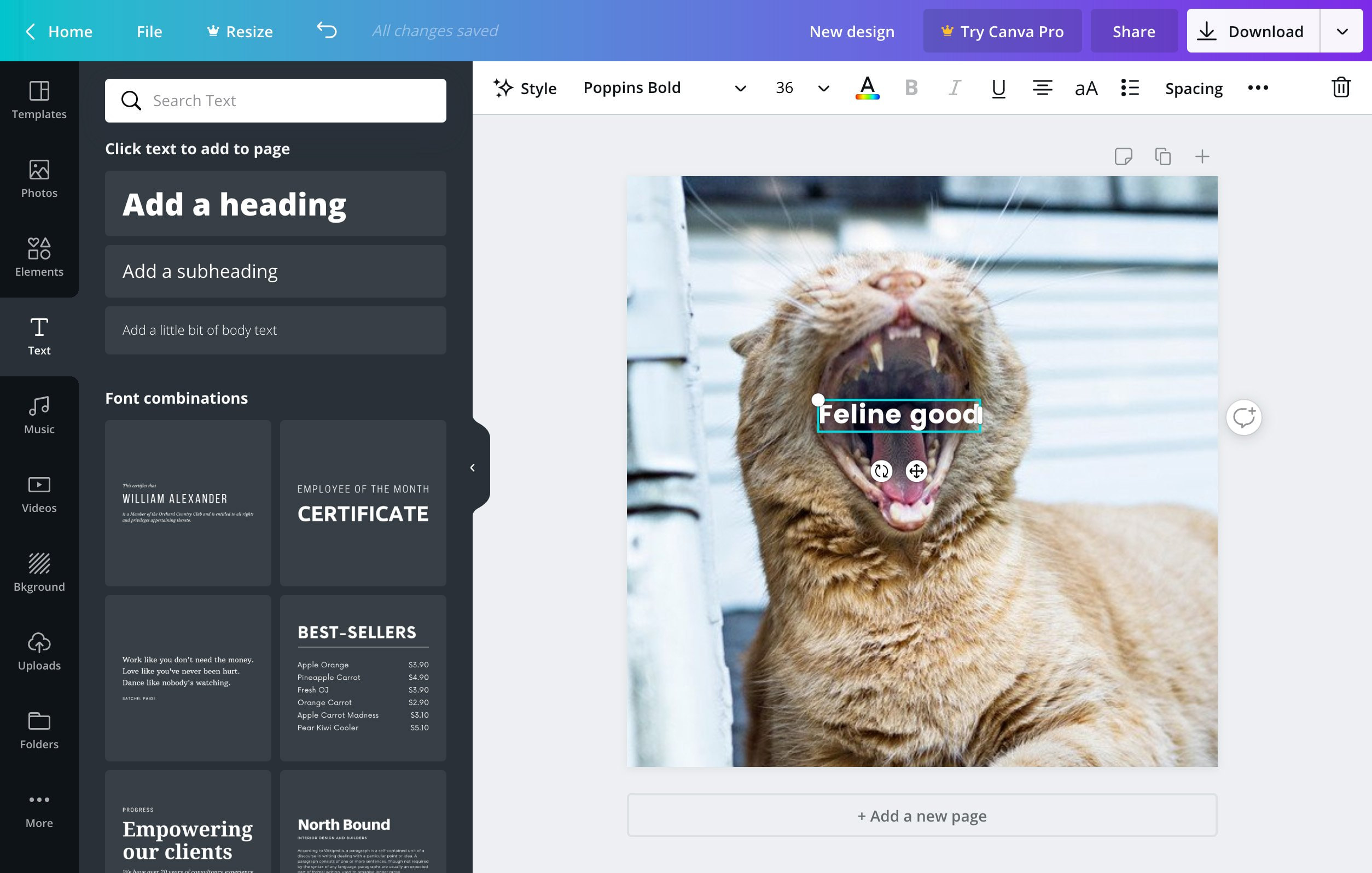 Rahasia Cara Membuat Gambar dari Teks di Canva yang Unik dan Menggoda