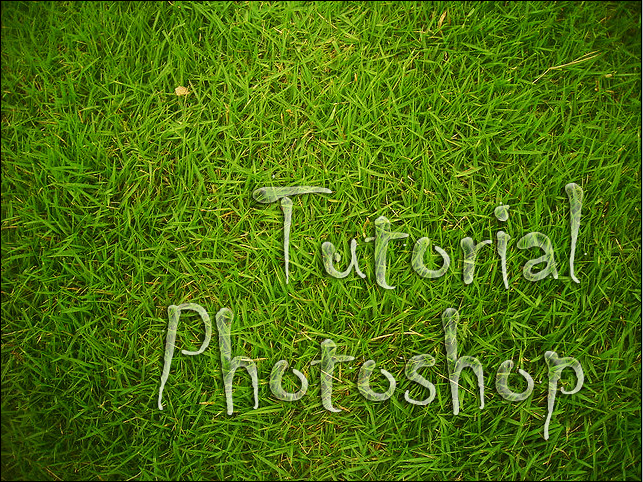 ILMU PHOTOSOP: Membuat Efek Air Dengan Adobe Photoshop