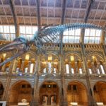 Penting! Foto's Van Natural History Museum Wajib Kamu Ketahui