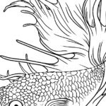 Penting! Desain Gambar Ikan Hitam Putih Terbaik