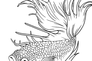 Penting! Desain Gambar Ikan Hitam Putih Terbaik