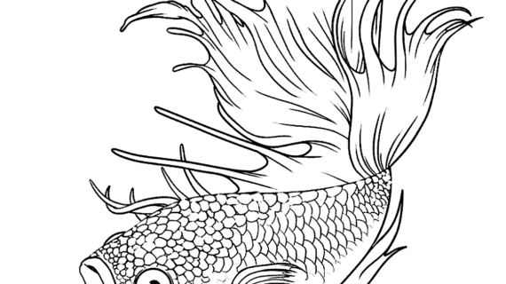 Penting! Desain Gambar Ikan Hitam Putih Terbaik