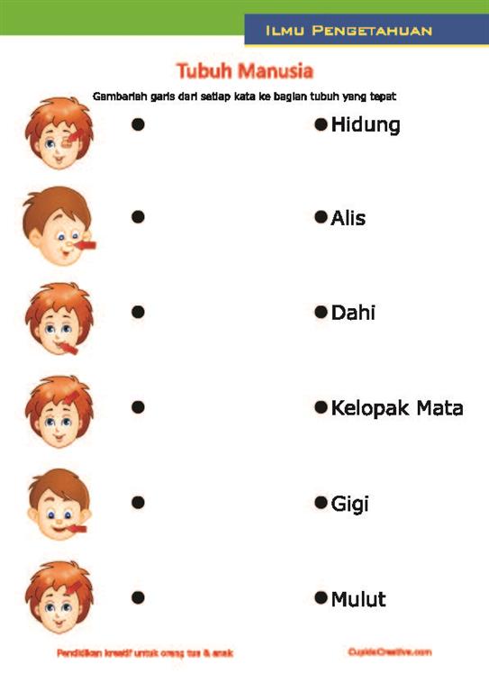 Belajar Bahasa Inggris Anak Sd - Yuk Kita Belajar