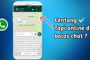 Hebat! Cara Whatsapp Tetap Centang 1 Tapi Online Wajib Kamu Ketahui