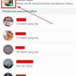 Wow! Cara Meningkatkan Kualitas Gambar Di Status Wa Terbaik
