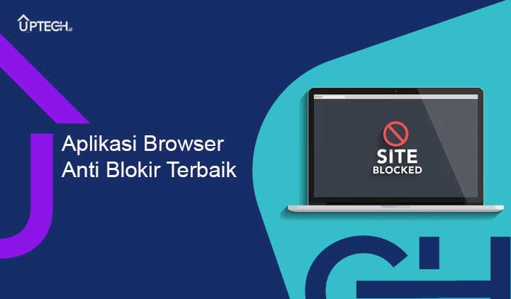Bonekagypsum Blog