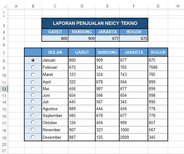 Cara Membuat Laporan Penjualan Bulanan di Excel