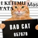 Rahasia Berikut Yang Tidak Termasuk Media Promosi Online Berupa Media Sosial Terpecaya