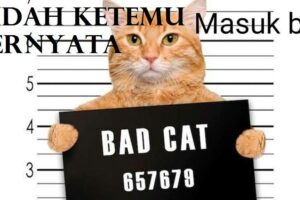 Rahasia Berikut Yang Tidak Termasuk Media Promosi Online Berupa Media Sosial Terpecaya