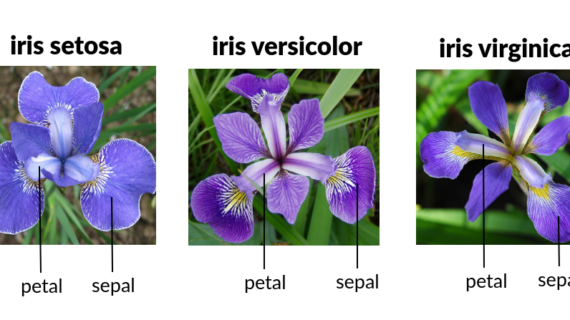 Simak! Download Iris Dataset In Csv Format Terpecaya