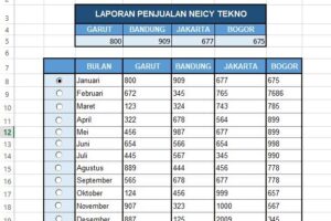 Terbongkar! Contoh Laporan Penjualan Barang Excel Terpecaya