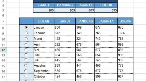 Terbongkar! Contoh Laporan Penjualan Barang Excel Terpecaya