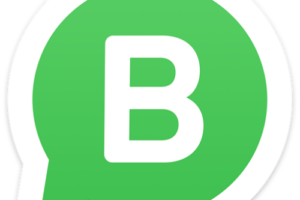Dahsyat! Whatsapp Business Download For Pc Softonic Terbaik