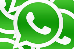 Terungkap Wa Blast Gratis Extension Wajib Kamu Ketahui
